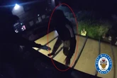 Moment killer burglar arrested on roof after fatal attack on great grandad