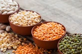 10 foods to eat for better gut health and to aid weight loss