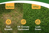 Gardeners love Amazon's 'speedy' grass seed that 'delivers a lush, green lawn' fast