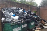 'Gut-wrenching' smell from dead rats in overflowing rubbish 'not collected for four weeks'