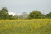 Large convoy of travellers moves onto Woodgate Valley Park