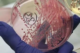 Everyday item dirtier than toilet seat and phone screen - and you probably never clean it