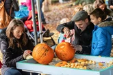 Anyone carving pumpkins for Halloween this weekend risks £300 fee