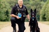 Major life update for police dog who survived machete stab as he 'refused to let go of suspect'