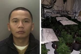 Cannabis farm 'mastermind' from Birmingham used illegal immigrants to staff grows