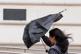 Storm Amy Live as gale force winds batter Birmingham and Black Country