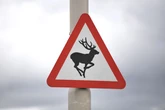 Thousands of drivers face up to £10,000 or even disqualification for common road accident