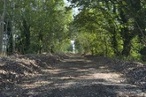Abandoned Midland railway line turned into 'vibrant’ walking route