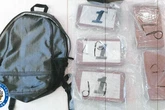 Drug dealer caught with £500k of cocaine told cops he made his money from dog breeding