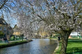 Family's dream trip to Cotswolds ruined by 'tourists eating from saucepans'