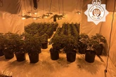 Police bust huge £1m cannabis farm near RAF base after 'concern' from public
