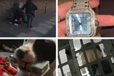 Moment brazen members of Nico line drugs gang supplying Worcester caught