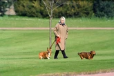 Dogs owned by the Royal Family - from Queen's corgis to Harry and Meghan's rescue pups