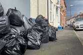 Birmingham bins strike fears as rats flourish on rotting food amid 'huge public health danger'