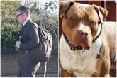 Dog owner in court after XL Bully 'Titan' mauled neighbour to death as he protected puppy