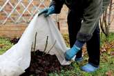 Exact date frost set to hit Birmingham as all gardeners issued warning