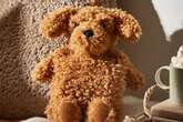 Cockapoo lovers 'thrilled' over 'cuddly' £10 Dunelm hot water bottle