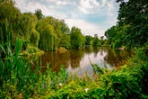 Beauty spots and parks around Birmingham rated 'the best' and given Green Flags for 2024