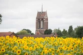 Church in spectacular sunflower field up for sale