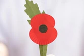 UK poppy display axed as Remembrance Day parade plan shut down