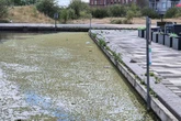 Inside Midland town where people fall into the canal every year