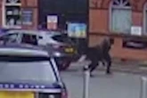 Police probe possible links between Jewellery Quarter Rolex robberies
