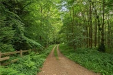 West Midlands wood with unique history put up for sale