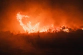 Foreign Office issues Spain travel update as more than 30,000 evacuated