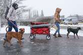 17 counties in England set to wake up to snow next week from 6am