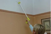 Amazon reduces 'world's friendliest' spider catcher that 'works like a dream' to just £11