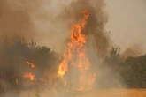 Panic as wildfires spark evacuations at holiday hotspots in Turkey and Greece