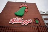 Kellogg's axes popular cereal after mass product recall last year