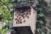 Parkrun chaos as runners stung after nest disturbed on 5km course