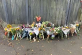 Husband's heartbreak as beloved wife, 49, killed by falling tree branch