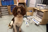 Illegal cigarettes, tobacco and vapes worth £356k seized in Walsall crackdown
