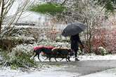 All the parts of England set for snow in March as forecasters point to 'change in weather'