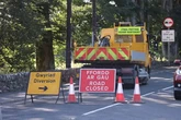 Midland woman dies as husband 'blacks out' and crashes Peugeot into tree