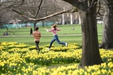 May Bank Holiday and half term things to do around Birmingham