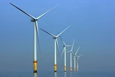 Green energy tariffs plummet as UK households reject them for cheaper deals