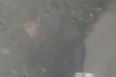 Hunt for man after teen girl sexually assaulted near bus stop