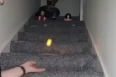 Moment man captures 'ghostly' voice inside home as objects 'move by themselves'