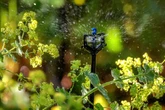 How to make your garden eco-friendly ahead of July energy bill rise