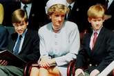 Princess Diana's former flame breaks silence on Harry and William feud