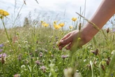 Gardeners urged to skip common task to 'transform your space' in May