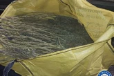 Moment Solihull man arrested after a tonne bulk bag full of cannabis discovered in van
