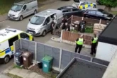 'All dogs have the potential to attack' - Readers react as dogs seized following attack