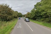 Body of pregnant dog found beside the road in Great Wyrley