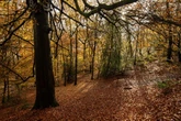 Parking charges plan for popular Birmingham parks despite backlash - full list