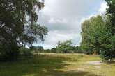 Couple encounter creature with 'yellow eyes, huge teeth and an ear piercing howl' at Cannock Chase