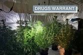Huge cannabis haul as police raid property